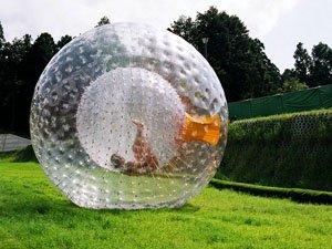 Zorbing nasıl bir spordur?
yumurtaliekmek.com/zorbing-nasil-…