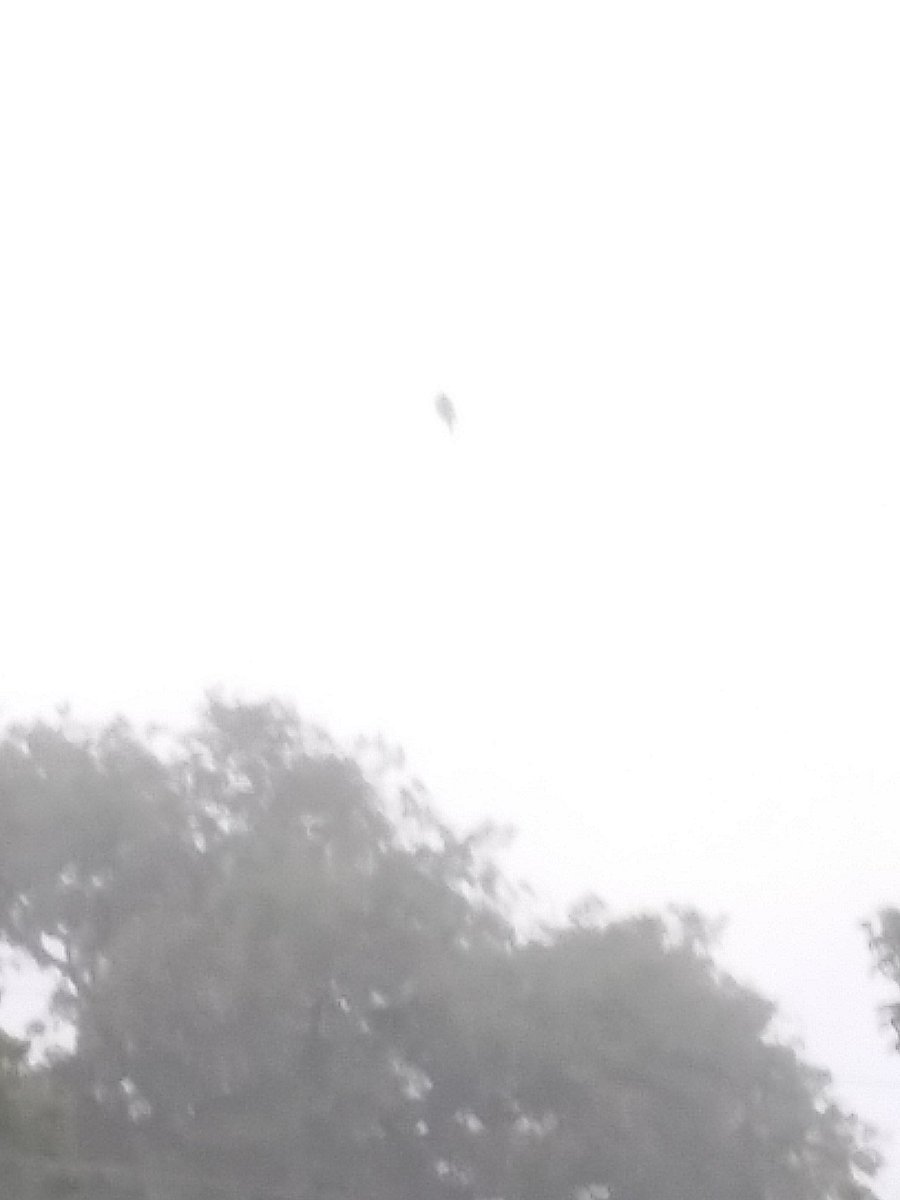 Baron Bomburst tweet media