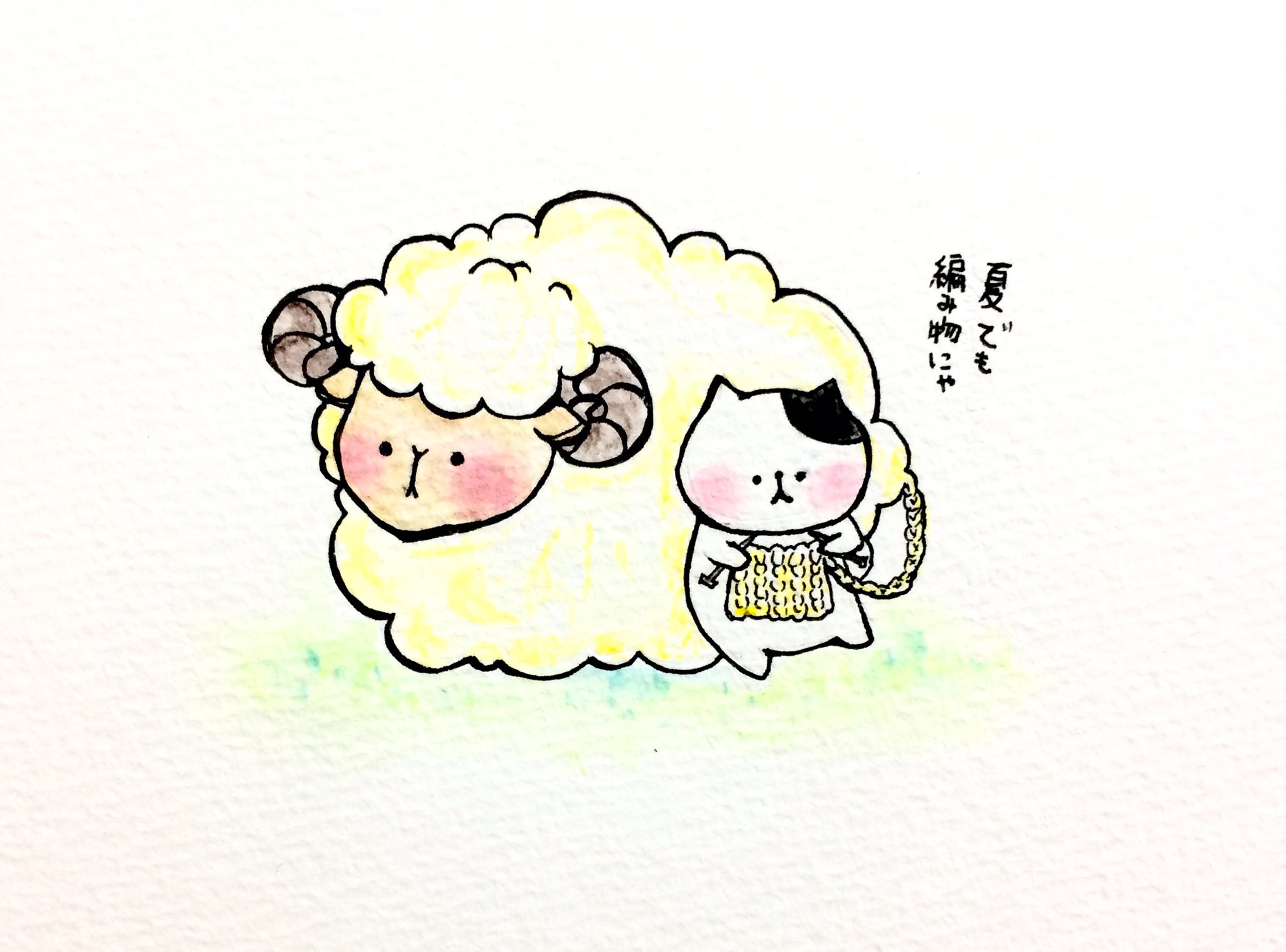 おこにゃん A Twitter 夏でも編み物にゃ 羊 編み物 季節外れ 夏 猫 にゃんこ イラスト 可愛い 1日1絵 癒し 手描き 絵描きさんと繋がりたい イラスト好きな人と繋がりたい 絵描き人 Followme Cats T Co Tu9fikrb6j Twitter
