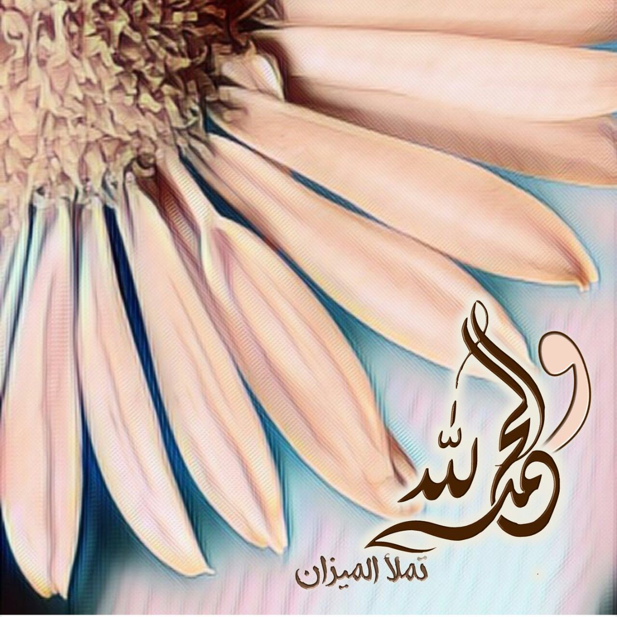 MOOM33310's tweet photo. #الحمدلله
اللهم لك الحمد كله وإليك يرجع الأمر كله، فاغفر لنا ذنبنا كله وأصلح لنا شأننا كله..🍃 https://t.co/XwjJlzuA0Z