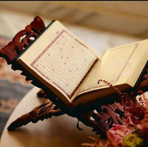 MOOM33310's tweet photo. 🍁(فطال عليهم الأمد فقست قلوبهم)🍁
لا تطل هجرك للقرآن فيقسُ قلبك
وتتكدر حياتك..وتذبل روحك.
فالقرآن حياة.! https://t.co/s0EsfpjjL8
