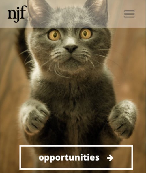 njfglobal's tweet photo. ⭐️NEW HOMEPAGE⭐️https://t.co/7Q6PWNehFf
Click opportunities to search the best global jobs within Trading and Tech...#thecatthatgotthecream https://t.co/mtIuPpGAO0