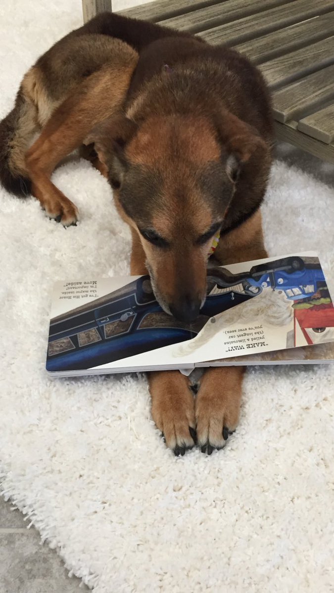 read_tutor's tweet photo. #readtoapet https://t.co/N2zkdl7T8n
