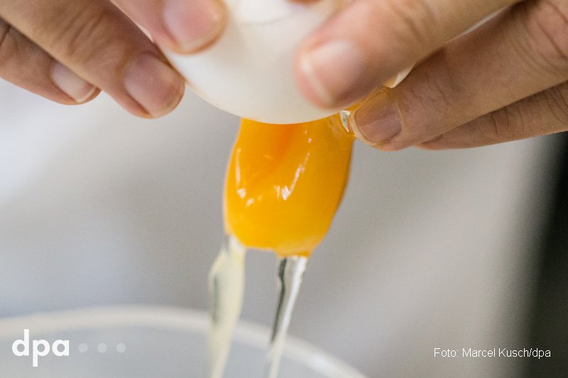 dpa's tweet photo. Fipronil-Eier: Oldenburger Staatsanwaltschaft ermittelt https://t.co/wTPsDoSdWj @WAZ_Redaktion (fho) https://t.co/iLLNZWQc1G