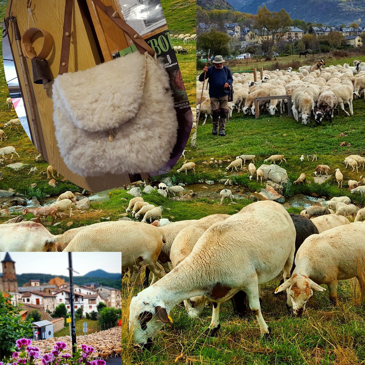 PorteEstop's tweet photo. #Ganxo #esquella #morralet #pastor #ovella #transhumància, tradicions que perduren al #Pirineu. https://t.co/sZFGPZ78Ov