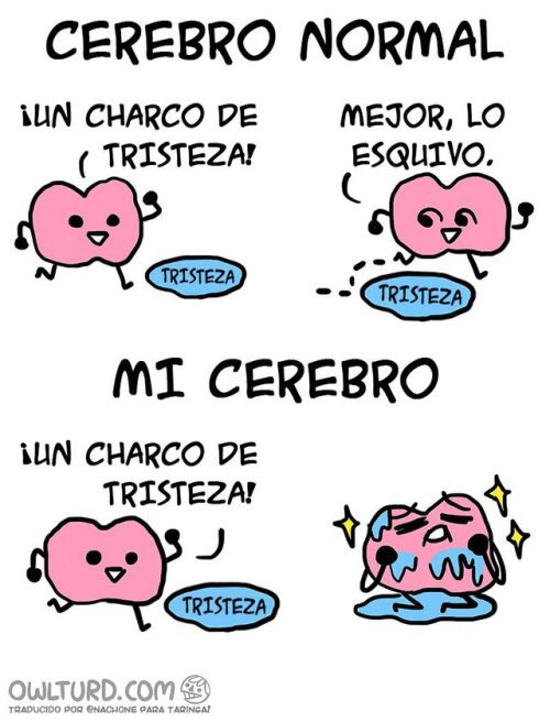 EzeChilo's tweet photo. Lo peor es que es real jajaja soy mi cerebro https://t.co/TgpwqFdQTv