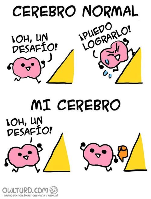 EzeChilo's tweet photo. Lo peor es que es real jajaja soy mi cerebro https://t.co/TgpwqFdQTv