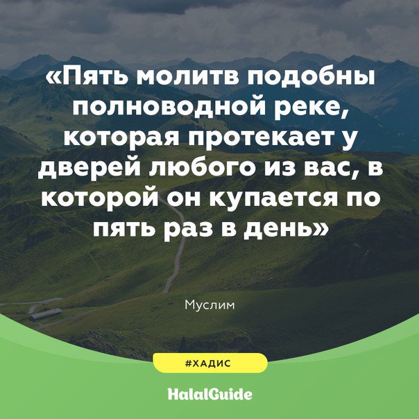HalalRussia's tweet photo. Посланник Аллаха (да благословит его Аллах и приветствует) сказал:

#хадис #ислам #пророк #халяль #халяльгайд #halal #halalguide https://t.co/r2ckBVNatu