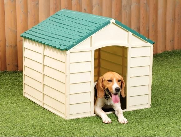 Durable Plastic Outdoor Pet Shelter ! Get yours here ➩➩       amzn.to/2pVuO6Z