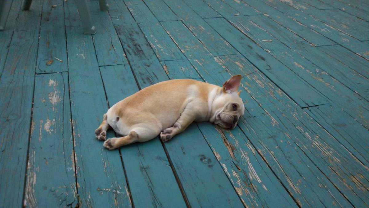 SwirlIndiana's tweet photo. Monday got us like.... make it easy on yourself &amp; register for #SWIRL2017 today! SGWS customers, 21+ only!  https://t.co/LrFXTTcBsy https://t.co/500j2MZhVc