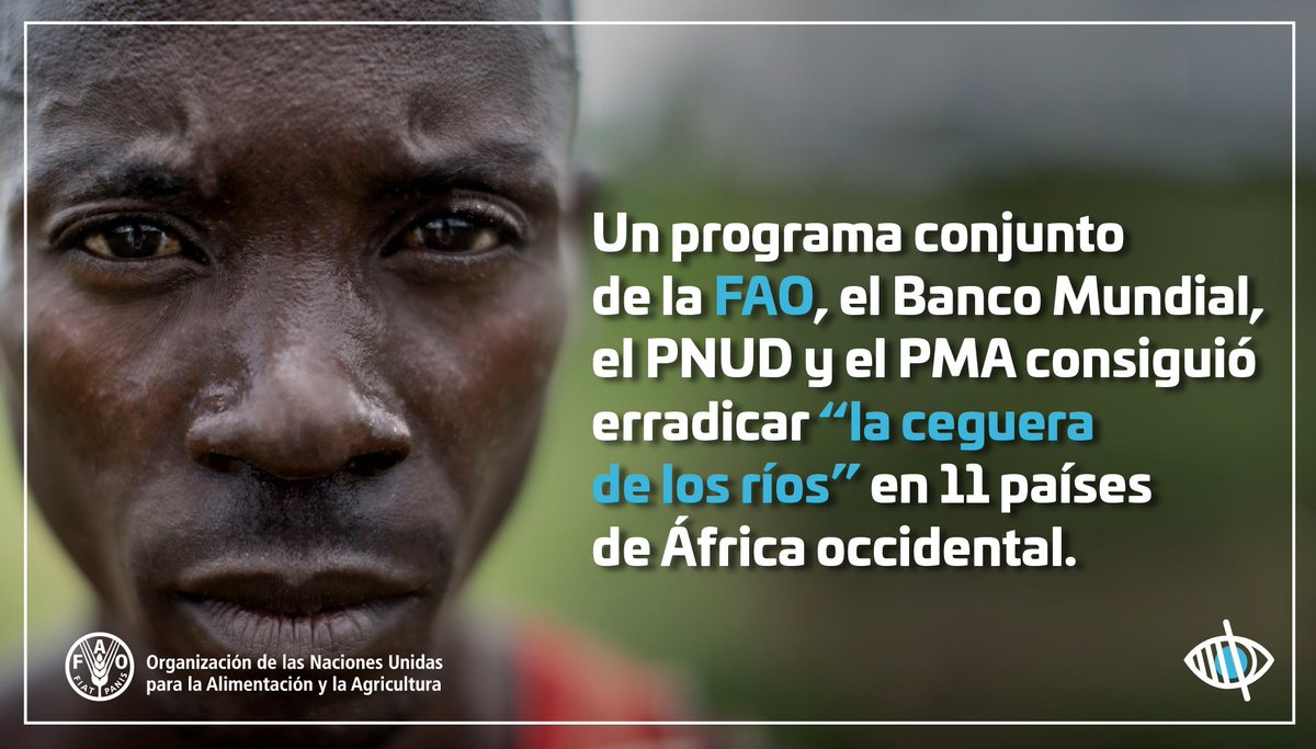 FAOenEspanol's tweet photo. @FAOnoticias @WFP_ES @FAOBrasilCoop @FAOpesca @FAOSIDS @FAO_SLM @ONUMedioAmb @FAOForestry @FAOstatistics @FAOArgentina @FAOMexico @FAOWHOCodex @WHO @opsoms Un programa de FAO, @BancoMundial , @pnud y @WFP_ES salvó a 40 millones de personas de la infección y a 600 000 de la ceguera. #FAOfacts https://t.co/sPWZ1EeV8f