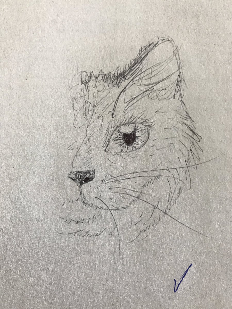 davidschlangen's tweet photo. This is not quite what I meant with “derivation using CAT features”, but full marks for effort! #gradingfun #catEgoricalgrammar https://t.co/f2oBuwg6Q1