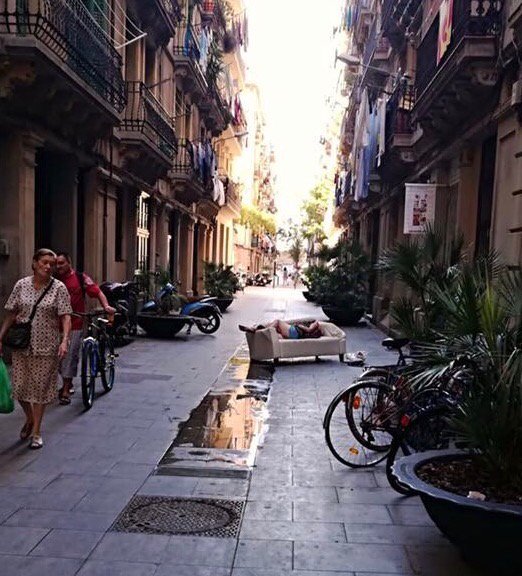 Mostra la imatge al Twitter