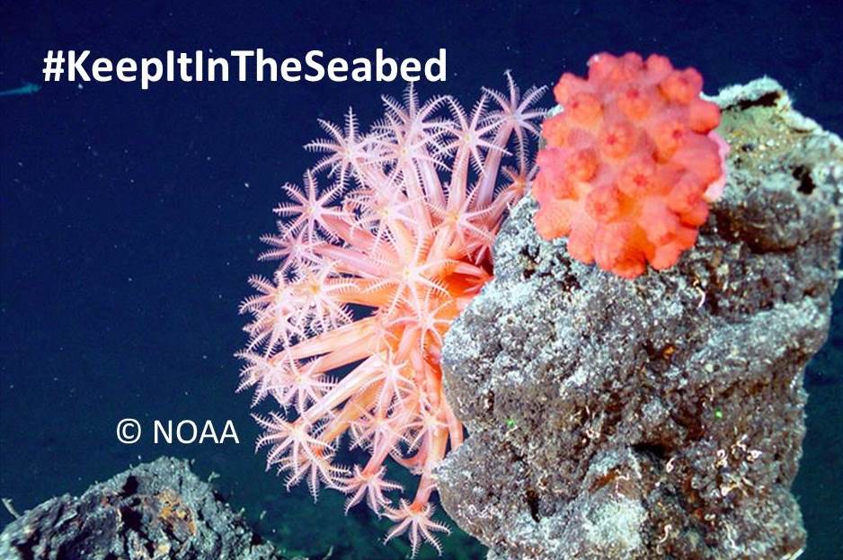 Seas At Risk tweet media