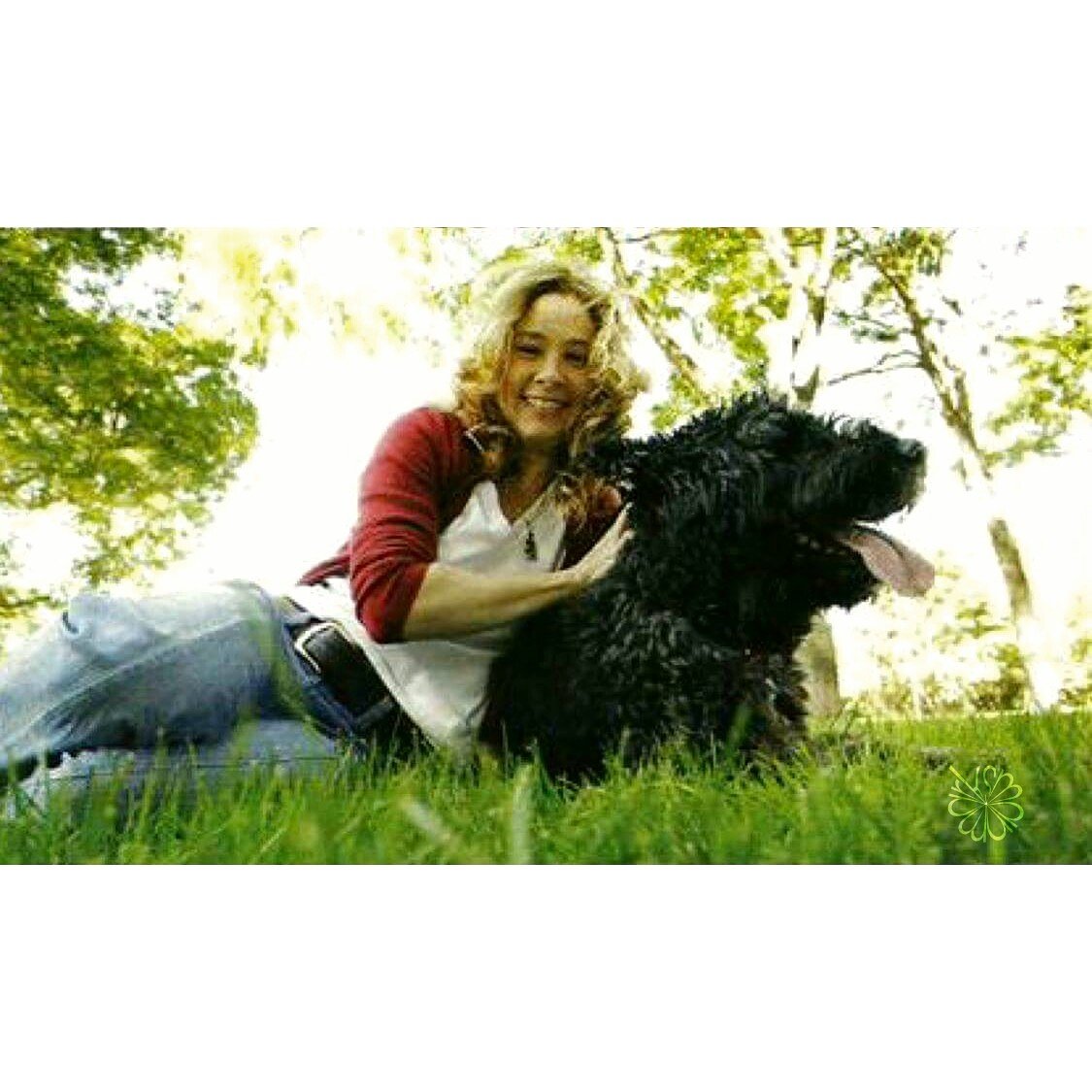 marksman_888's tweet photo. Nothing but the blessing of your feed 😊😍💜 You know you have to ignore the quality 😊😁
#meganfollows https://t.co/PrkPEYnplp