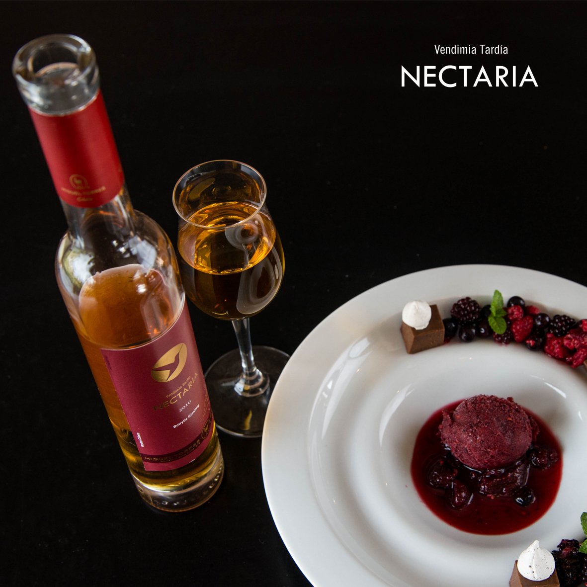 MiguelTorresCL's tweet photo. #Nectaria #Riesling En su etiqueta destaca un picaflor chileno, ícono elegido por el néctar, alimento que albergan las flores #MiguelTorres https://t.co/QVitjE2GPL
