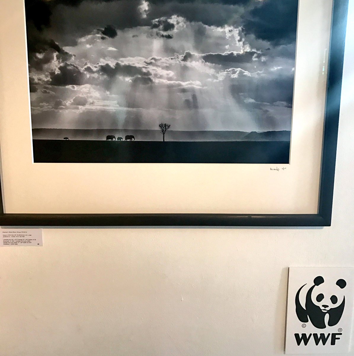 GeriCarr's tweet photo. #rogerhooper #wildlifephotography #exhibition #wwf #oxotowerwharf π https://t.co/i1xeVjdHdk