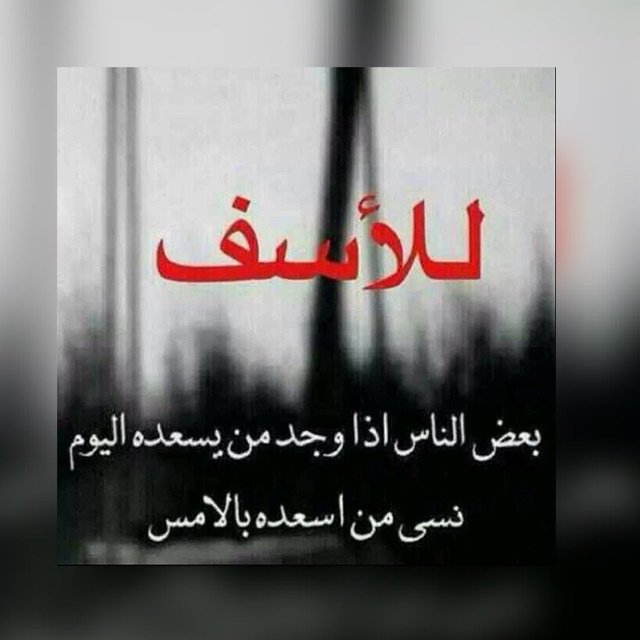 لاتعتمد على
[الحب] 
فهو نآدر...
ولآتعتمد على
[آلآنسان]
 فهو مغآدر..
ولكن أعتمد على 
[الله]
 فهو آلقادر