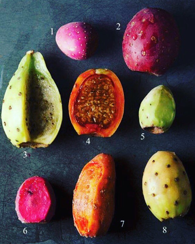 EdgarNunezM's tweet image. Tunas mexicanas 
1. Juana 
2. Roja pelona 
3. Cristalina 
4. Naranjona 
5. Xoconostle 
6. Cardona 
7. Cuerno de Venado 
8. Platanera