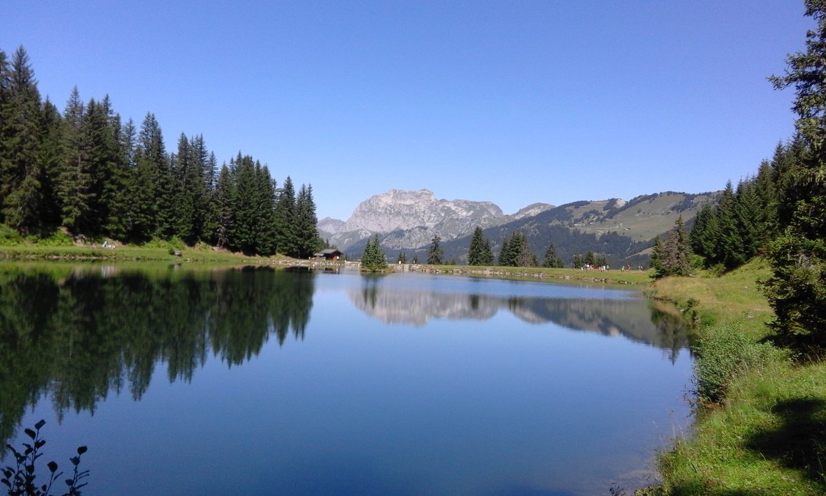 bernierpatrici2's tweet photo. Belle randonnée ce jour au #lacdelamouille à #superchatel @Chatel_Officiel https://t.co/0rBGbyAew8
