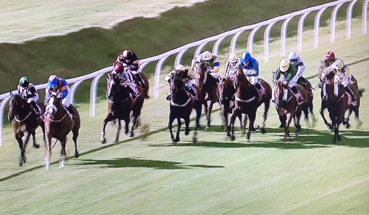 amajox's tweet photo. Congrats @amajox🌟#KellyAdams wins #1stride #1stwin @CarlisleRaces @NoelNlwilson69 #OurPlaceInLouie #ladies🏆#topjock👏 https://t.co/fYSLb8AGCW