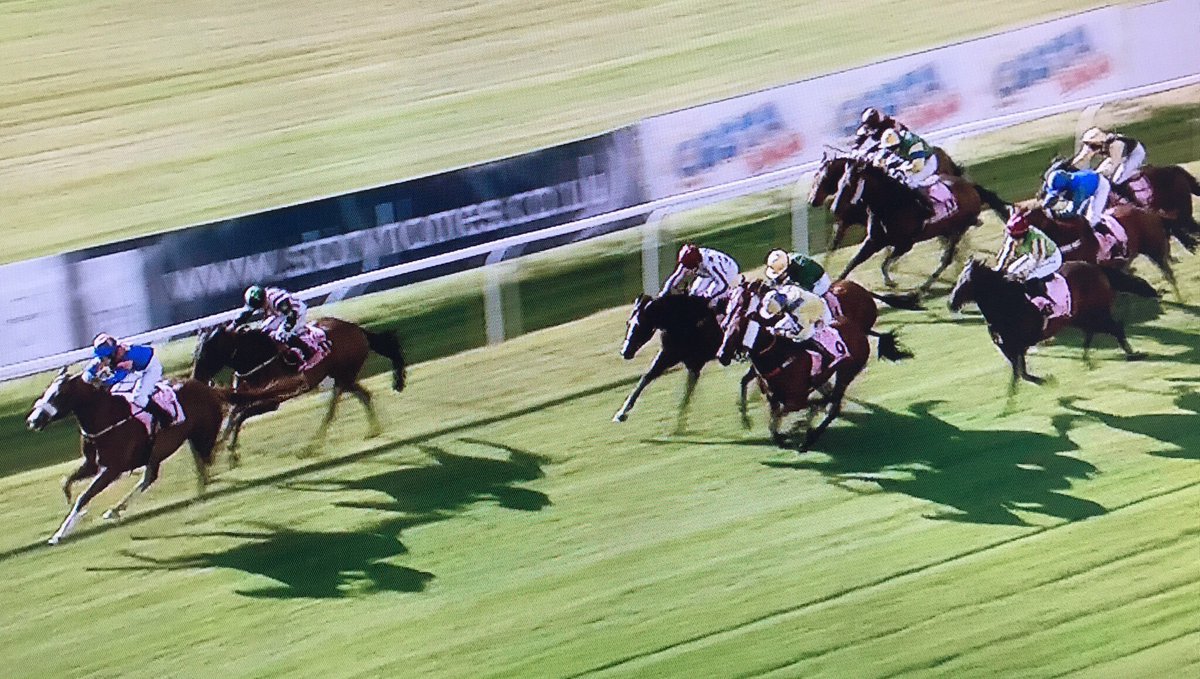 amajox's tweet photo. Congrats @amajox🌟#KellyAdams wins #1stride #1stwin @CarlisleRaces @NoelNlwilson69 #OurPlaceInLouie #ladies🏆#topjock👏 https://t.co/fYSLb8AGCW