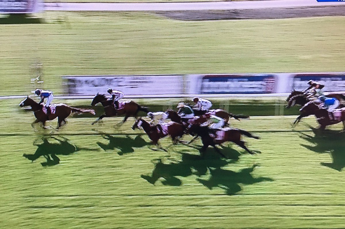 amajox's tweet photo. Congrats @amajox🌟#KellyAdams wins #1stride #1stwin @CarlisleRaces @NoelNlwilson69 #OurPlaceInLouie #ladies🏆#topjock👏 https://t.co/fYSLb8AGCW