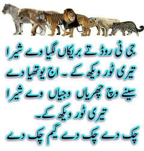 Humaiz_hamza786's tweet image. #GTRoadکپتان_کی_موت