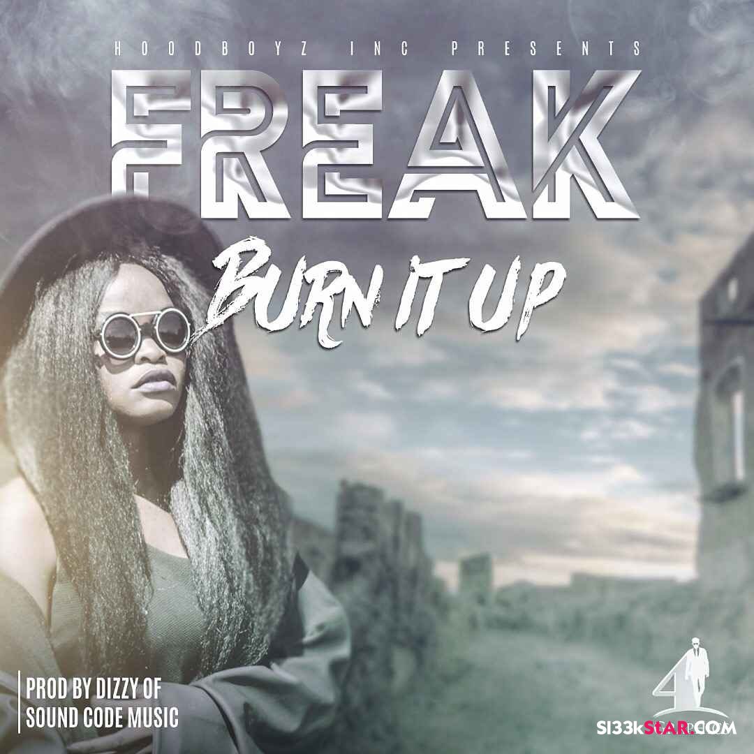 sl33kstardotcom's tweet image. New Music: Freak-Burn it up is now on #Sl33kStAR - goo.gl/GQnFYq