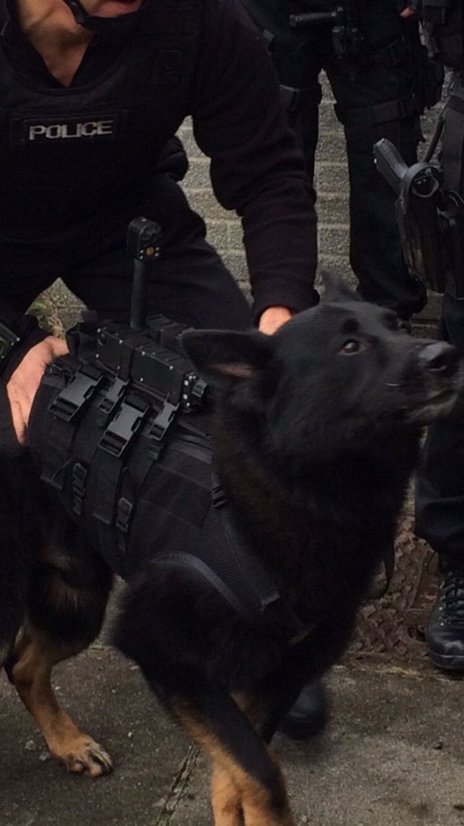 RPD_Logan tweet media