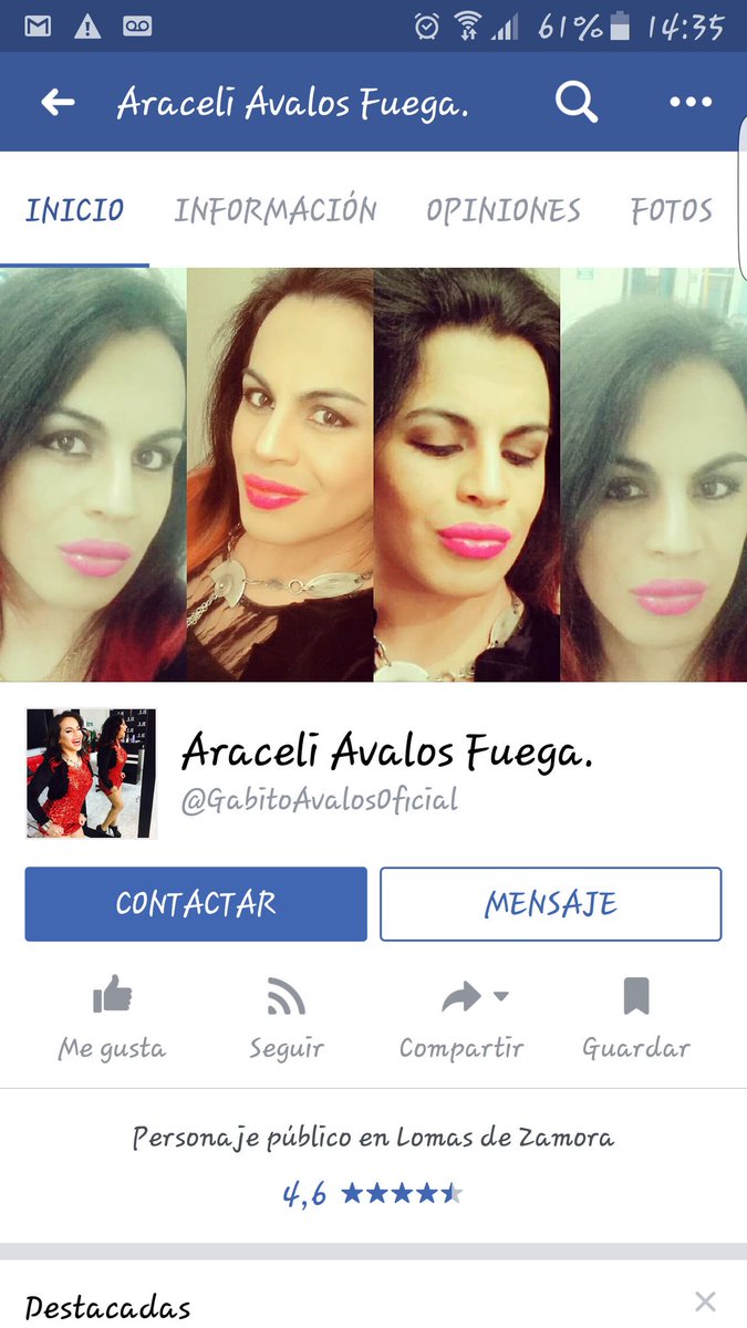 MARIEL SCHIAVELLO tweet media
