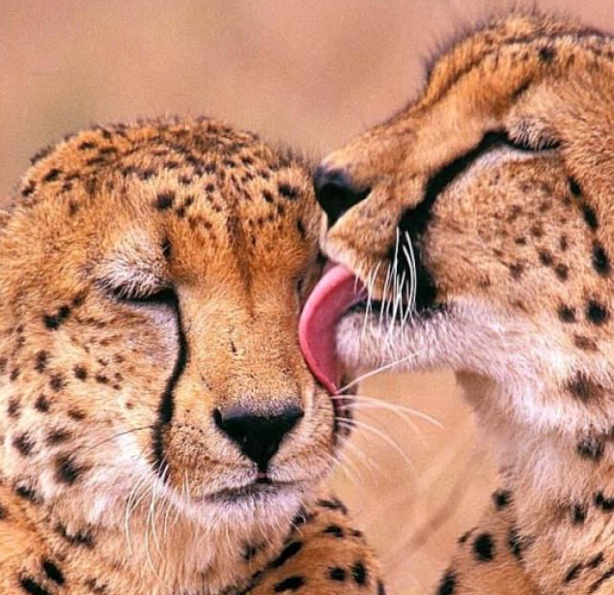 2 Corinthians 1:4 He comforts us in all our troubles so that we can comfort others...with the same comfort God has given us.

#Amen