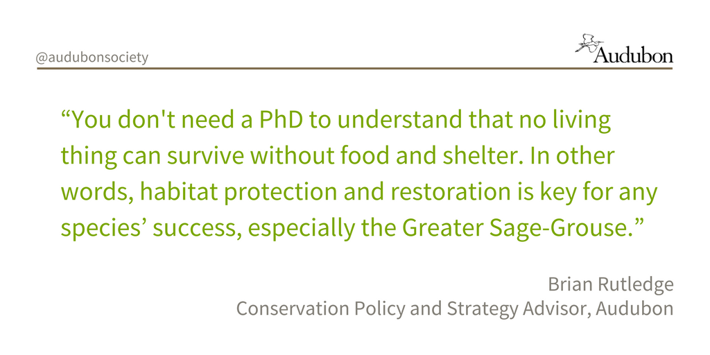 .<a href="/Interior/">US Department of the Interior</a> shouldn't reinvent sage-grouse conservation plans that protect birds &amp; Western communities. ow.ly/CPSZ30eekF1 #SaveGrouse