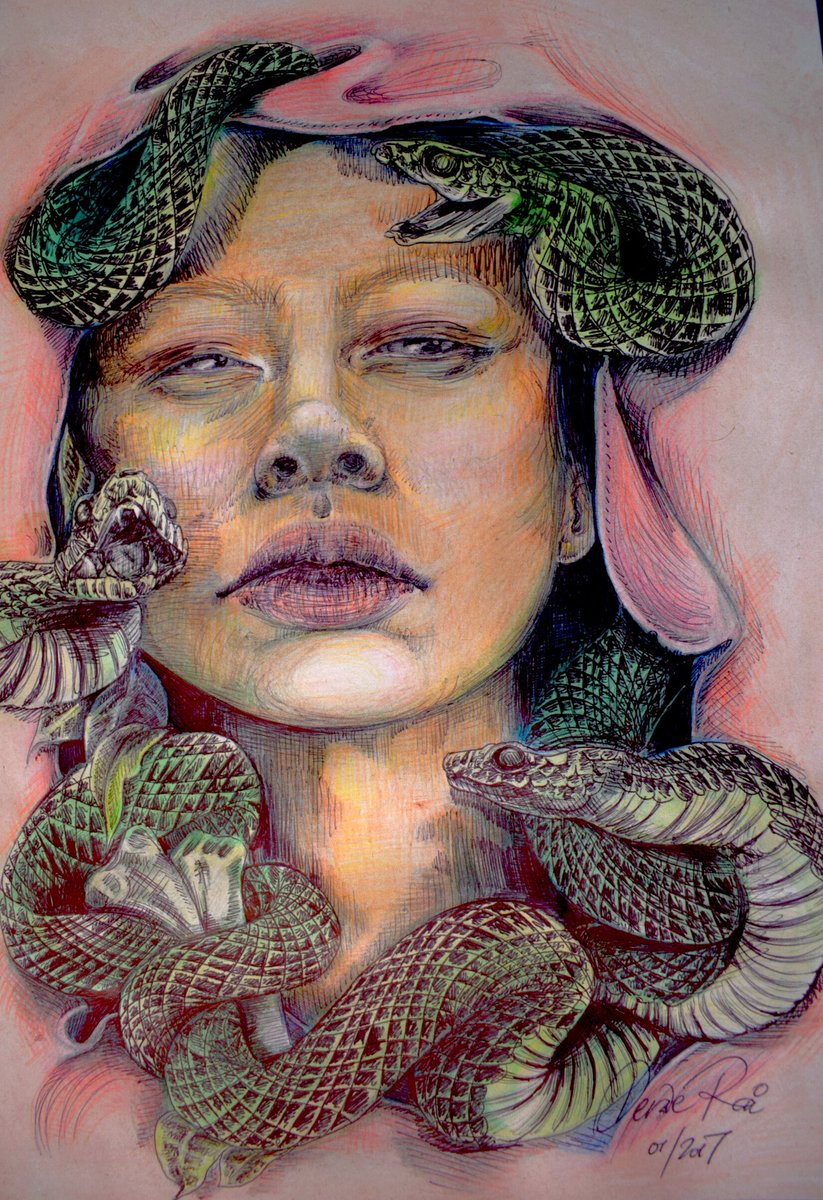 DeraeRai's tweet photo. #artisttwitter #illustration #Medusa #deraerai #inktober #selfportrait #art #drawingaugust #DrawChallenge #artshare #DrawforAnimals #snakes https://t.co/ey82APLnC0