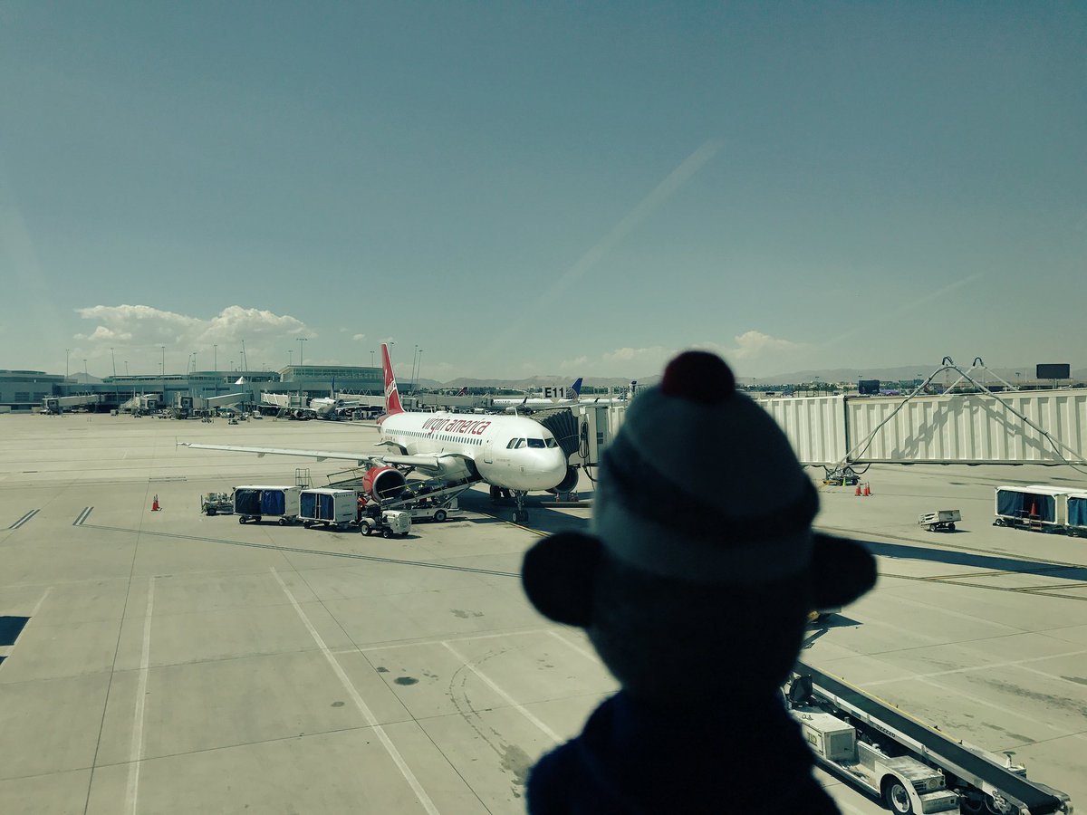 SockMonkeyToNY's tweet photo. I see you @VirginAmerica! Excited for my trip to @flySFO today from @LASairport! #Travel #SockMonkey https://t.co/aK1b4GBoWA