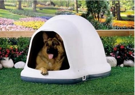 The classic igloo-shaped Dogloo XT protects your dog from outdoor elements! Order yours here ➩➩           amzn.to/2pVUccG