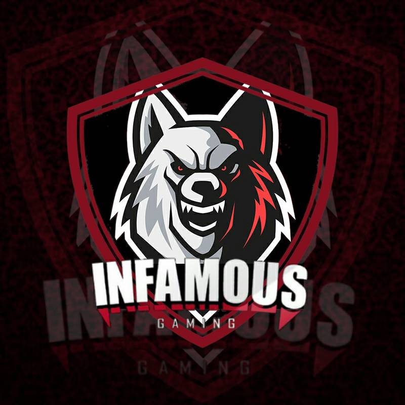 LigaEspacial's tweet photo. Nuestro segundo invitado especial @Infamous_GamCR https://t.co/sMnJ7tha9G