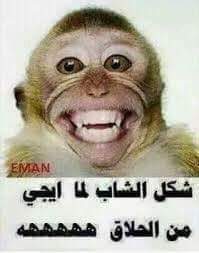 😂😂😂😂
