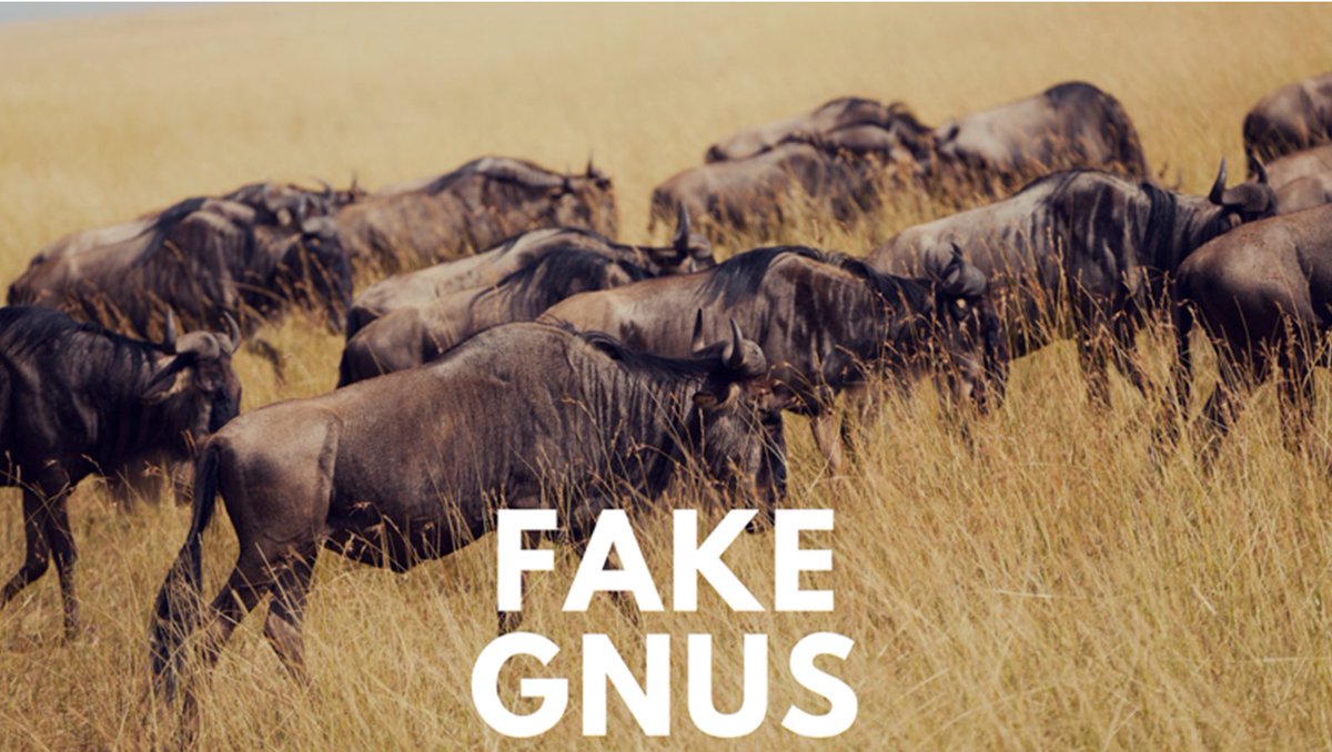 Because Mondays are hard...
Thank you <a href="/KSLbbruce/">Becky Bruce</a>