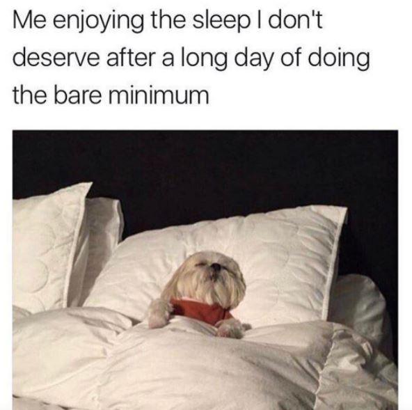 Missguided tweet media