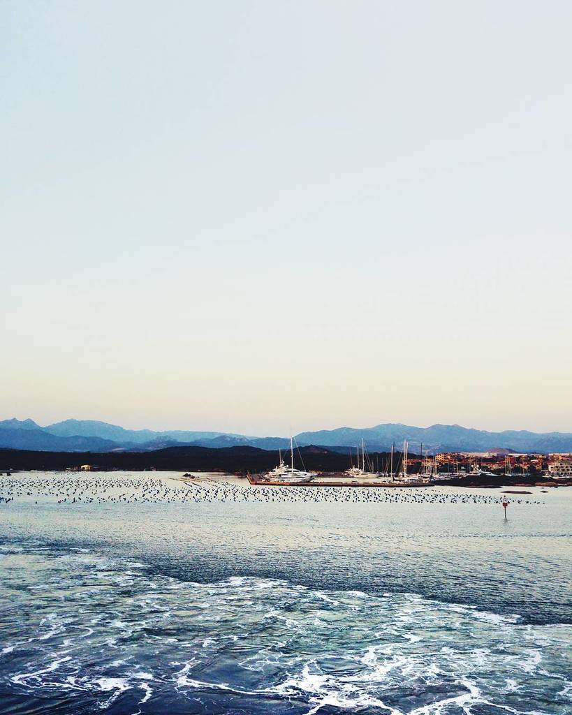 Sunrises are rare in my life and maybe for this reason more beautiful to see...
.
.
.
#sardegna #sardinia #olbia #bestofvsco #sea #beach #s…