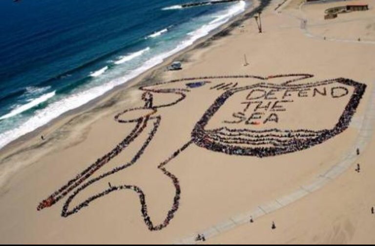 LunaLuvgood2020's tweet photo. @Realityshaken #SaveOurOceans #Resistance
#HeroesResistโจ๐ฅโจ #DefendTheSea https://t.co/S8iQ9Av6k2