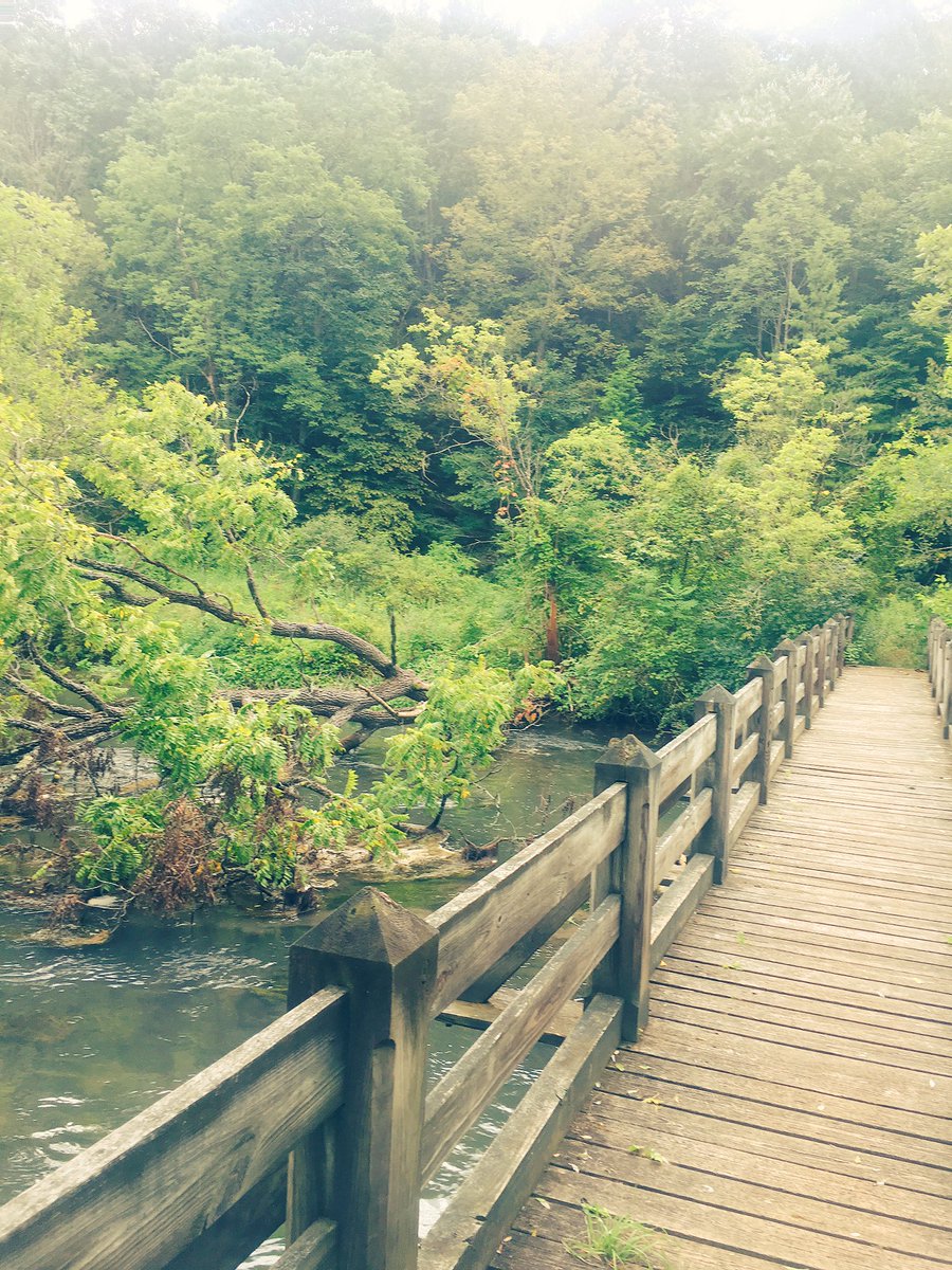 Some all-natural #fishhabitat next to the #springcreek bridge crossing #catchandrelease #troutfishing