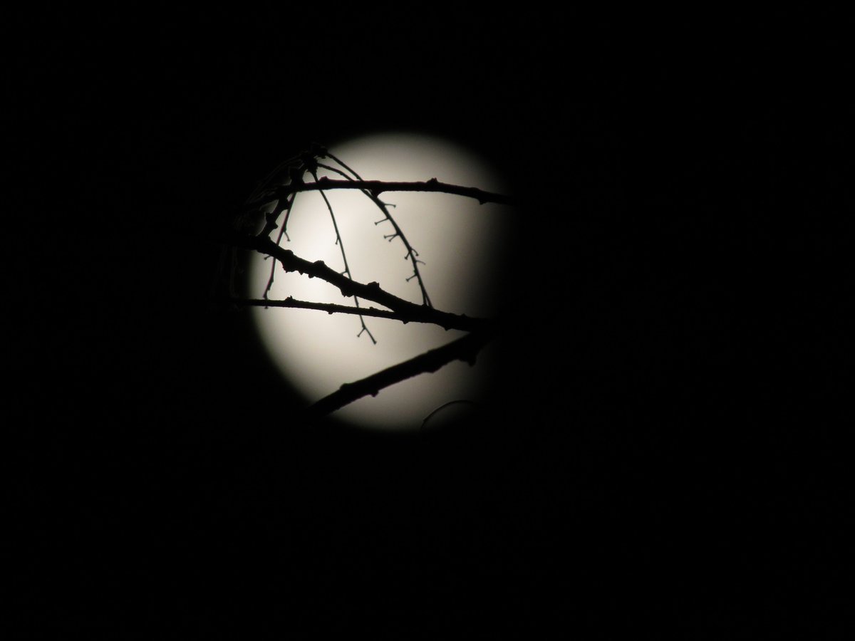 A beautiful #lunareclipse this evening, the second of two lunar eclipses in 2017.    #Eclipse2017 #eclipselunar #SouthAfrica