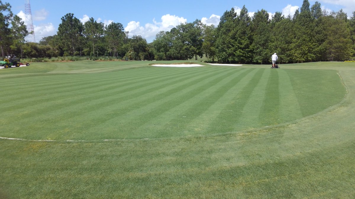 BryceGibson8's tweet image. Day 45 post sprig, start taking HOC👇. #practicefacility #myoffice