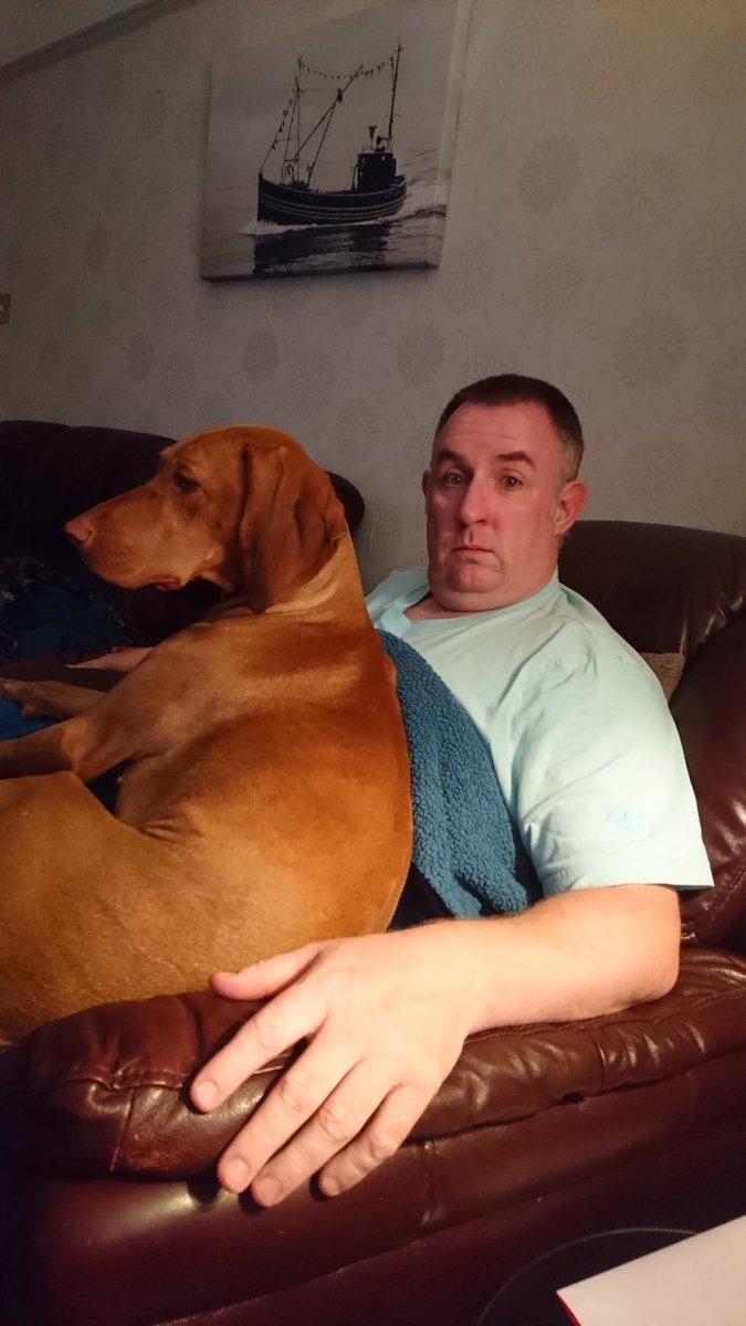 Faylar1978's tweet photo. @SupervetNF #Rescue #Vizsla #Amber on the #isleofman is glued to #animalrescuelive. She is our second #RescueViz https://t.co/tsui0FXeY0