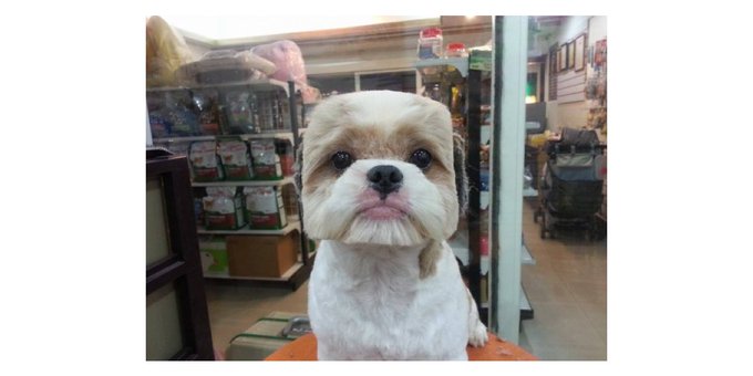 Me when my friends say be there or be square: https://t.co/uYbZAC27Yr<a href="/tag/mentalhealthmonth"class="tags"><span>#mentalhealthmonth</span></a>