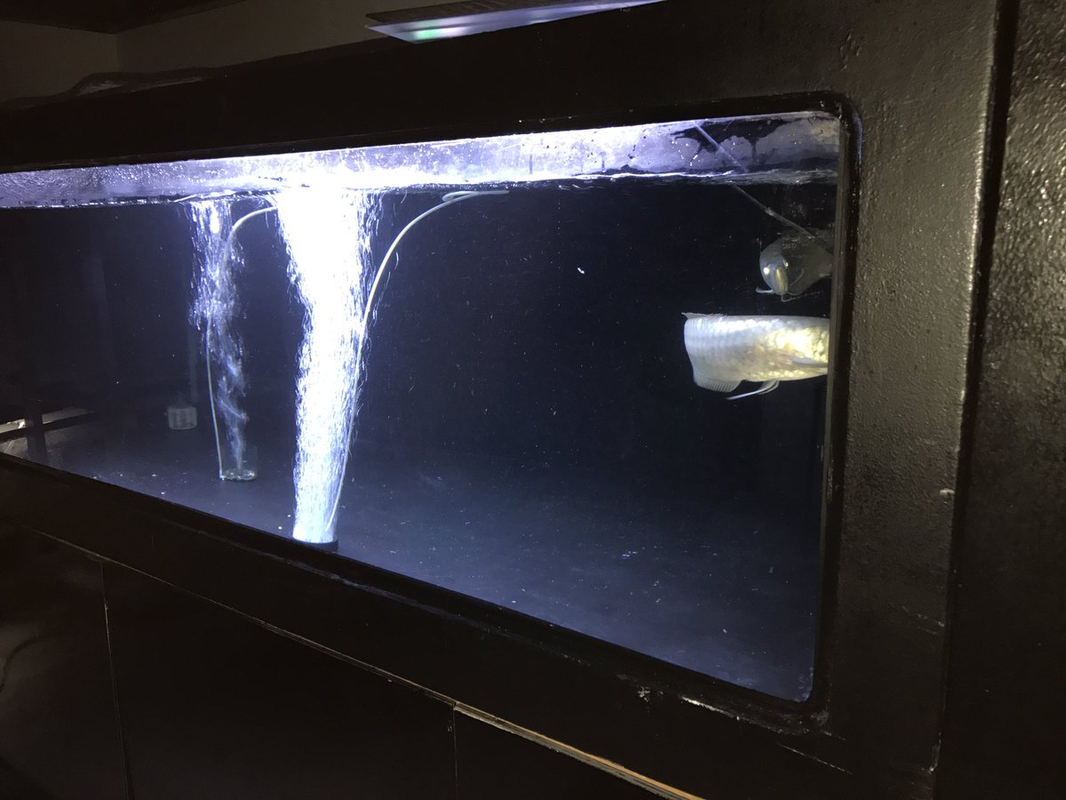 totalability2's tweet image. FRP   断熱仕様  幅240cm奥行き130cm高さ85cm  オーバーフロー無料   使用期間半年  20万円   お近くの方は無料でお運び致します。東京方面、福井方面の方は今月お安く配達可能です。在庫処分の為価格交渉可能です。