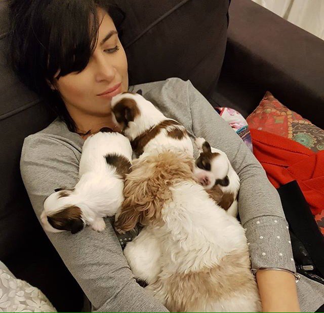 SquadBrum's tweet photo. Morram com essa fofuraa 😍🐶 https://t.co/R9fjCjkJRb
