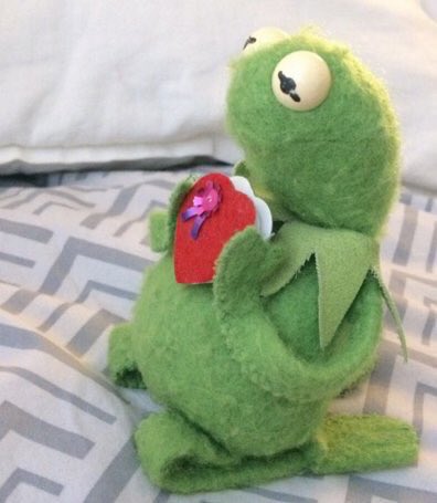 AnarchyPolice's tweet image. [Yo:  tú si que eres mono Niall. ]